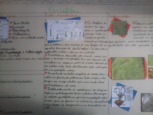 CAM00242[1]